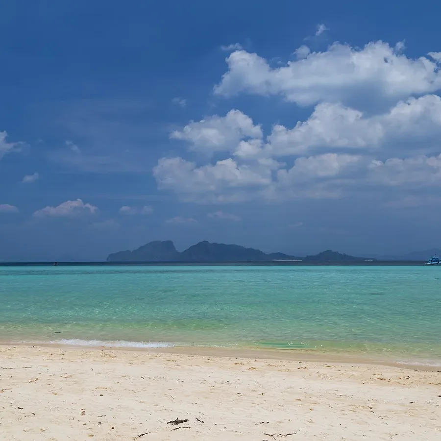 Trang